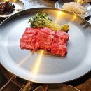 신백정