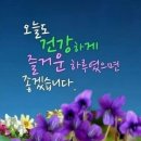 &#34;가평군 &#39;자라섬 꽃 페스타&#39;을 찾아서&#34;＜2023.10.06(금)＞ 이미지