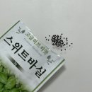 [초보가드너 2] 바질 키우기 1일차🌱 (LG틔운미니에 씨앗심기!)