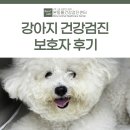 이마트24 대구본동점 | 강아지 건강검진 보호자 후기 [대구동물건강검진센터/본동물건강검진영상센터]