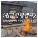 원골 | 영동 여행 단체 숙소 추천! 월영산 출렁다리 근처 '원골힐링캠프 펜션(단체실)' 내돈내산 후기