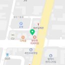 이화꽃식물