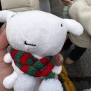 운학생일 앤 일상 그리고 보넥도 콘서트 후기.. ミ⛧