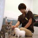 페츠하임 이미지