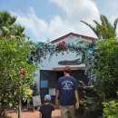 UR(서귀포시)-[추사로36번길]-하-12 | 제주여행 아이와 둘째날 :: 어린왕자감귤밭 / 항공우주박물관