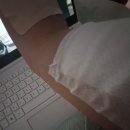 이은우피아노 | 쿨쿨컹컹