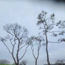 금지동초등학교 이미지