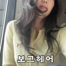 지누헤어플레이스 | 대구 허쉬펌 잘하는 본리동 미용실 보그헤어 대구죽전점 방문 후기