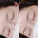 눈썹대장 이미지