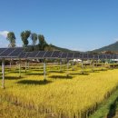 가평 태양광발전소 이미지