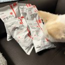 희민농장 | 강아지 다이어트할 때 먹기 좋은 사료 국개대표 반할끼니