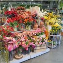 (주)메가마트김해점 이미지