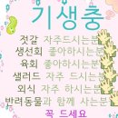 원정탕