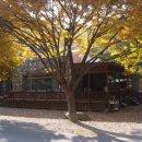 법흥가든 민박 이미지