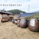 청산도한달살이민박 Daum카페