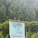 하방소 포레스트 | 강원도 홍천 계곡 추천 평상 대여 가능한 하방소포레스트 강추후기