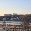 동탄 호수공원 맛집 버드나무크래프트 내돈내산 후기 추천메뉴