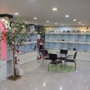 안양애견 이미지