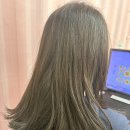 시져스헤어 이미지