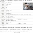 서울동물복지지원센터 동물병원 이미지