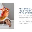 서울태내과 이미지