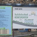 돌궁 이미지