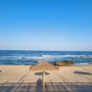 원원민박 이미지