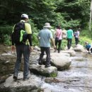 구곡농장 이미지