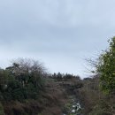 제주불교성지 순례길 절로가는길 - 선정의 길 | [제주 태교 여행]제주도 서귀포 중문 가볼만한 곳, 바다가 보이는 이국적인 절 제주 약천사🏝️(+ 제주 절...