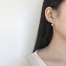 스테리미