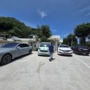 셀레네 동물병원 이미지