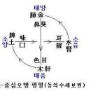 체질별 식품 (가나다순)-입체 음양오행 이미지