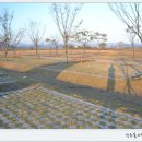 미르피아오토캠핑장 이미지