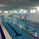 배방파인트리수영장 이미지