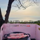 화성 | 경기도 노지 차박 장소 추천 화성 고온항 캠핑 후기