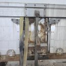 성진농장 이미지