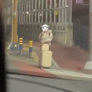 안경家(가) | 2026 1 NAGOYA