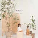 모어미엘 이미지