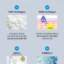 데이파크약국