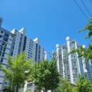 문성정형외과의원 | 신속항원 검사 받고 온 후기 (독산동 서울정형외과의원, 비용, 토요일 검사)