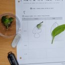 척척과학센터 이미지