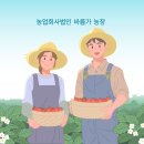 농업회사법인 (주) 더바른