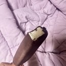 주식회사 케이원소프트 | 당 걱정 없는.. 아이스크림이 있다...?! 제로윗 당제로 아이스크림!!