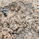 학산목장 이미지