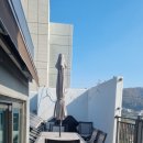 코끼리부동산중개사무소 이미지