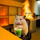 지니스안경