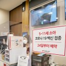 양지-19 이미지