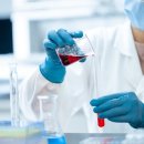 네이처스로우 이미지