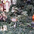 율암농장 이미지