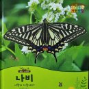 애벌레
